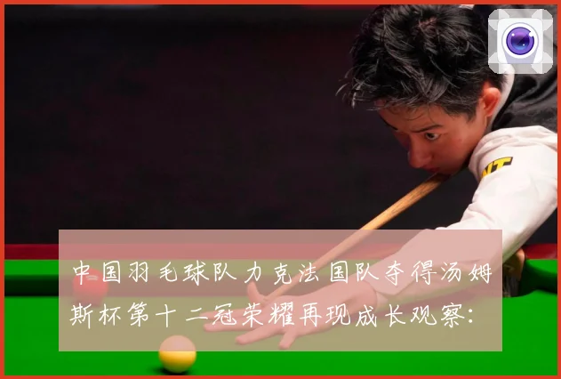 中国羽毛球队力克法国队夺得汤姆斯杯第十二冠荣耀再现成长观察：最新赛事动态与深度分析